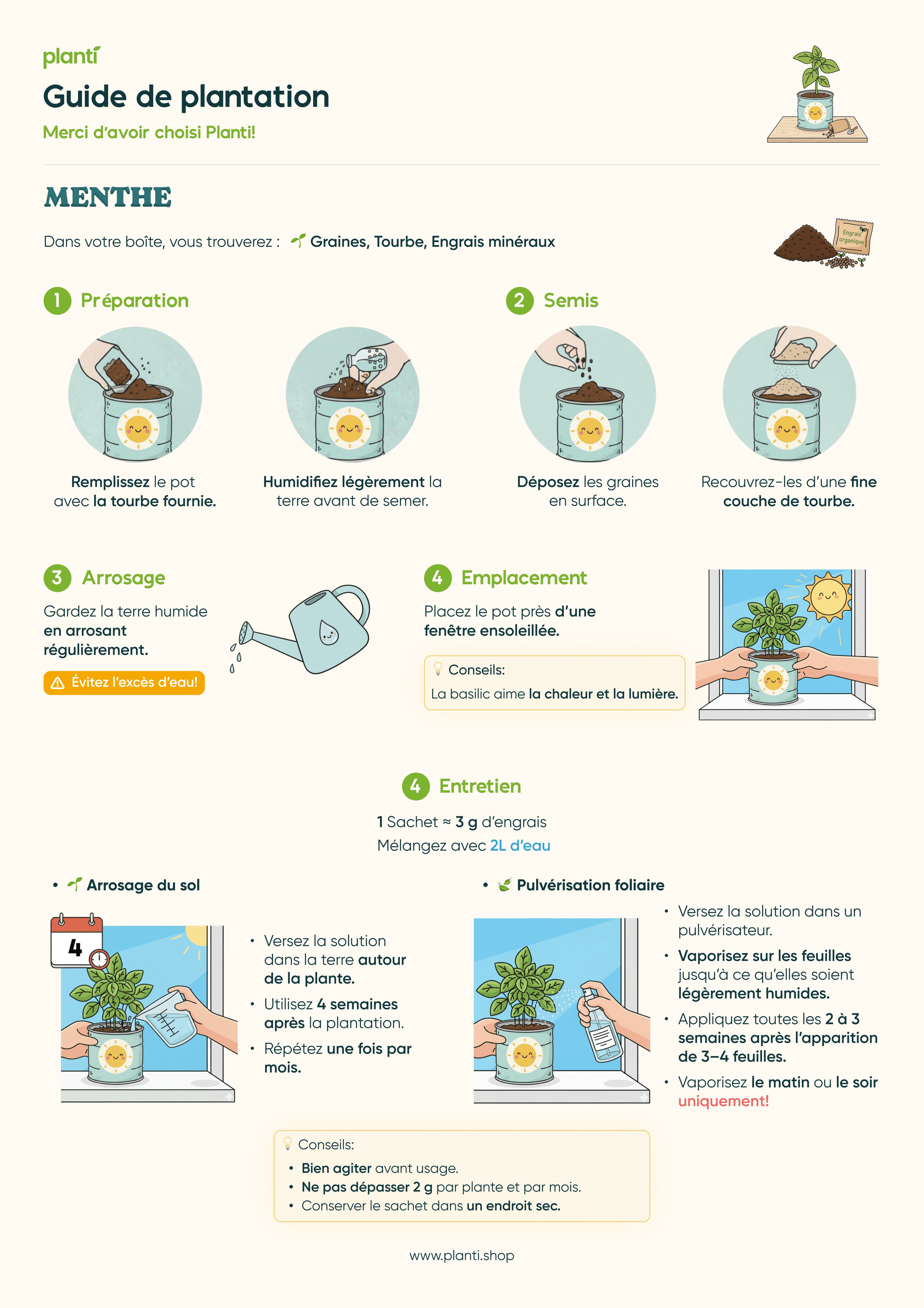 Guide de plantation Menthe - FR