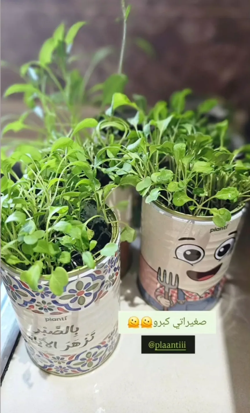 تقييم عميل 8