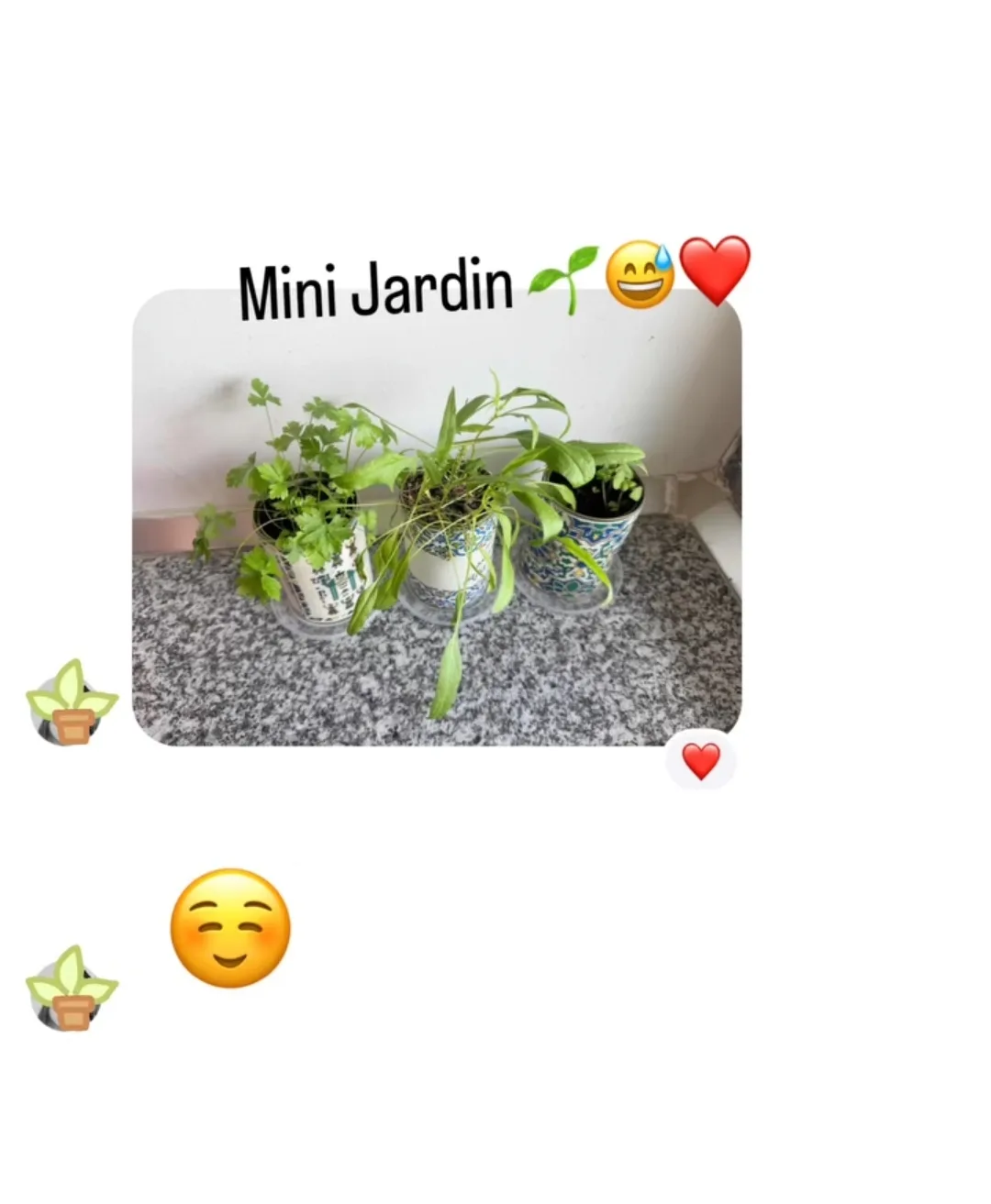 تقييم عميل 10