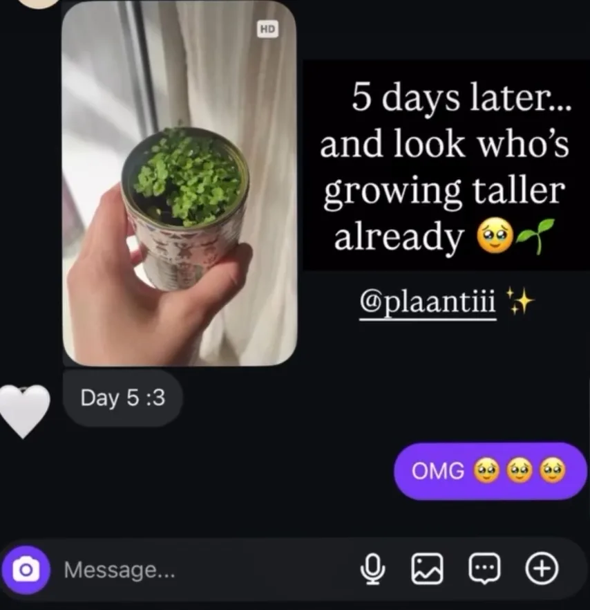 تقييم عميل 13