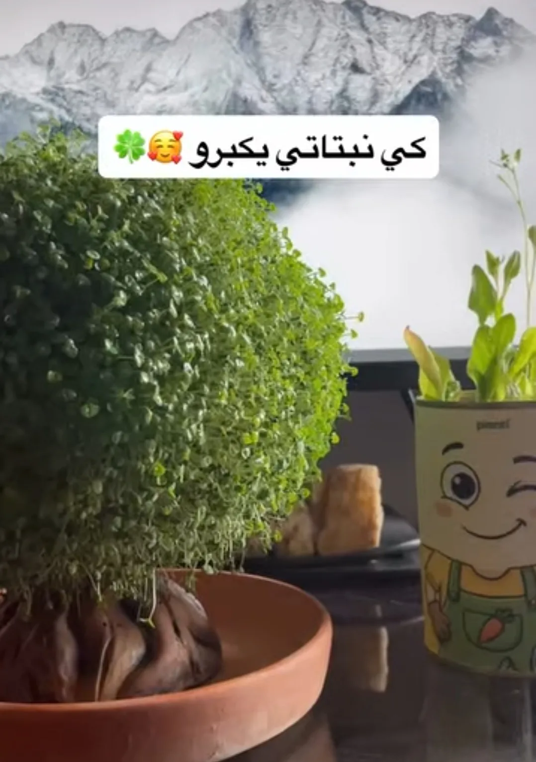 تقييم عميل 15