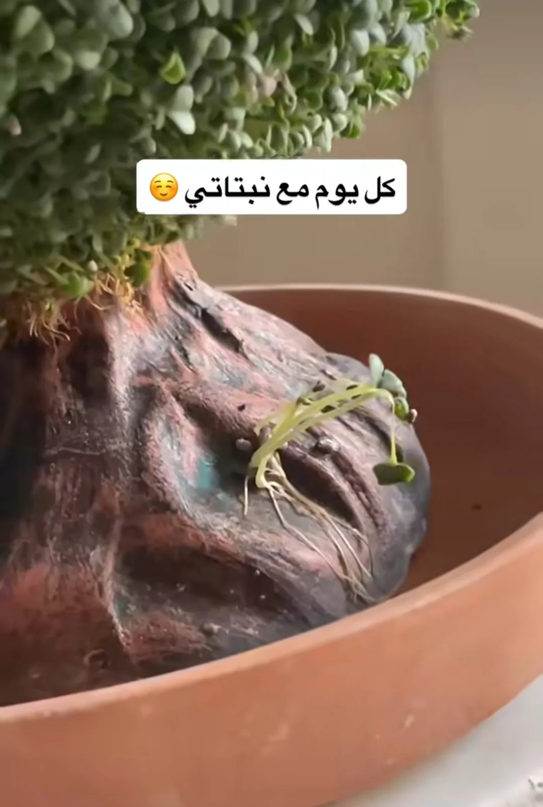 تقييم عميل 21